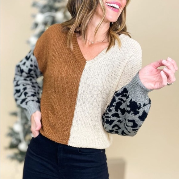 Charcoal Animal Print V-Neck Colorblock Knit Sweater, wore once, size L - Picture 14 of 15